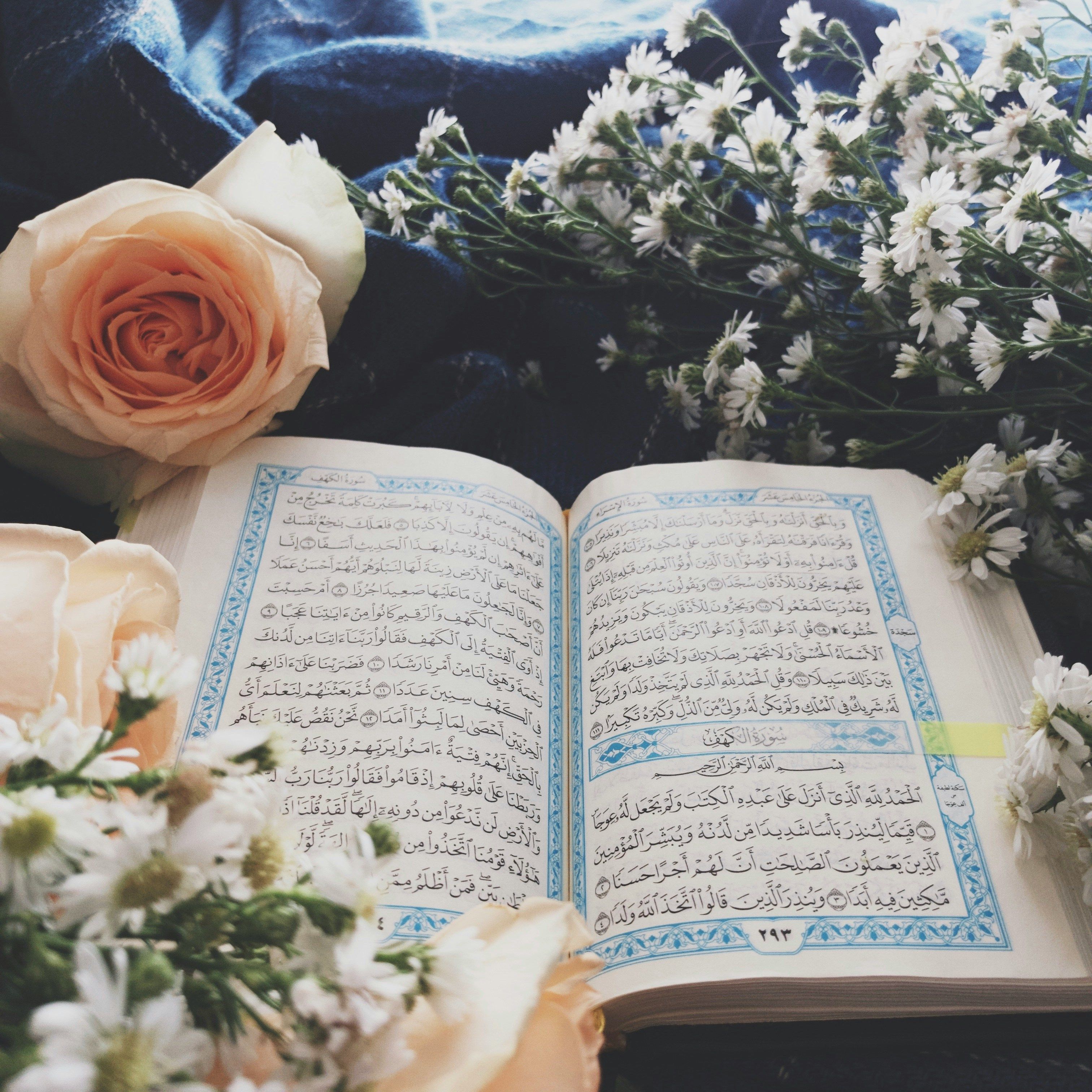 Die Meinung der Muslime (Salafisten) zum Terror